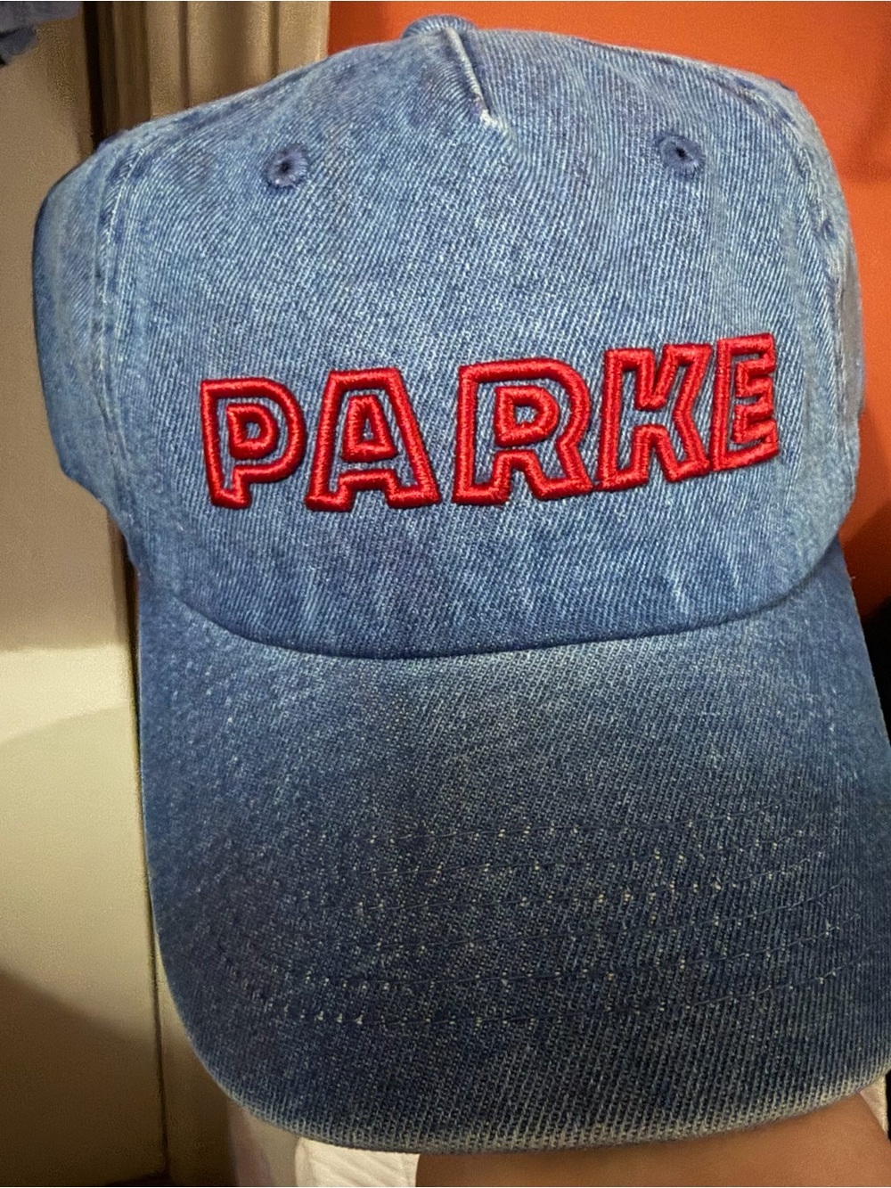 NWT/Parke Target denim logo hat